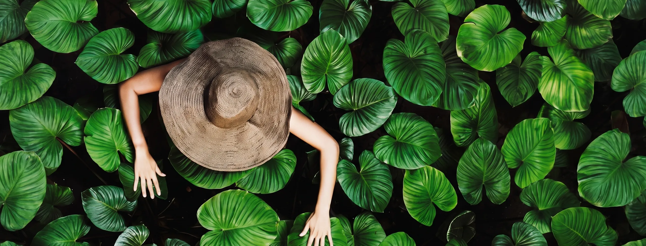 Femme au chapeau au milieu des nénuphars, vue de dessus